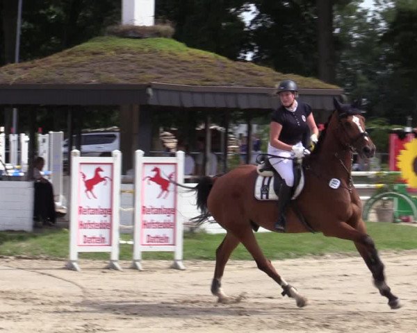 Reitturnier Datteln 2020