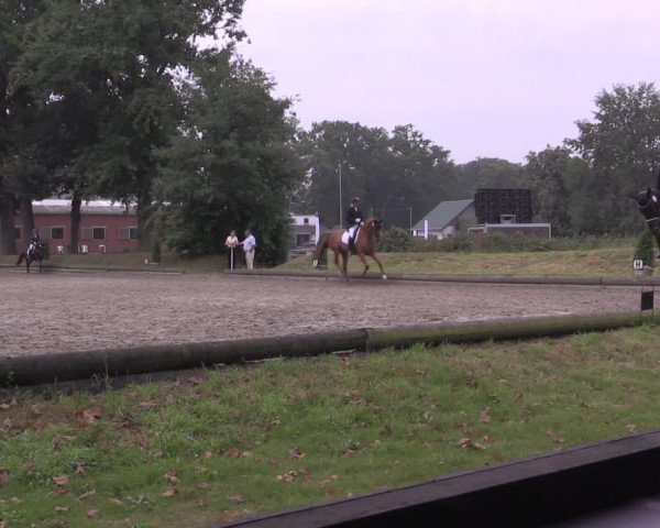 Reitturnier Datteln 2020