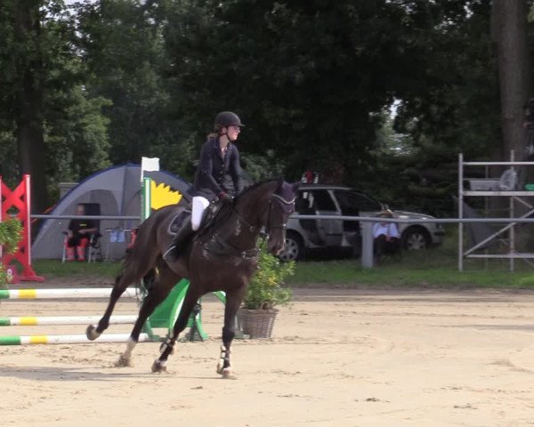 Reitturnier Datteln 2020