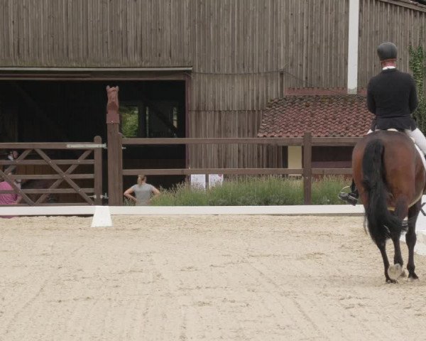 Reitturnier Bübinger Hof 2020