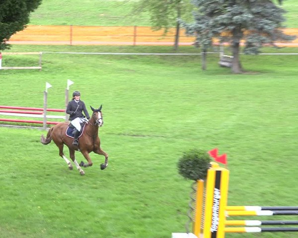 Reitturnier Aadorf 2020