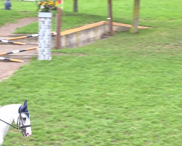 Reitturnier Aadorf 2020