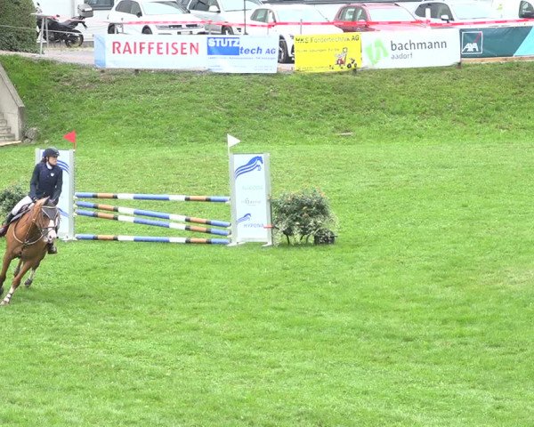 Reitturnier Aadorf 2020