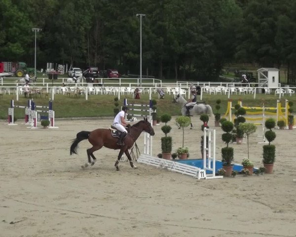 Reitturnier Bergisch Gladbach - Hebborner Hof 2020