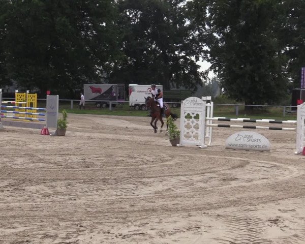 Reitturnier Datteln 2020