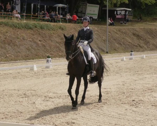 Reitturnier Bübinger Hof 2020