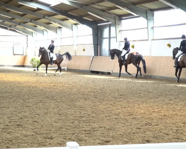 Reitturnier Datteln 2020