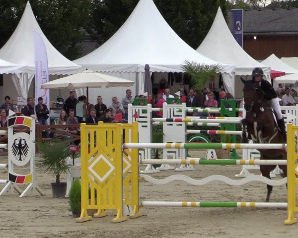 Equus Colonius - Reitanlage Brüse Köln 2021