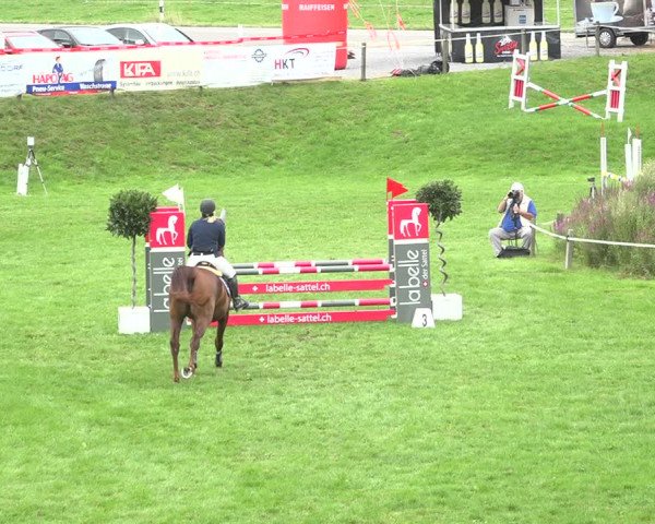 Reitturnier Aadorf 2020
