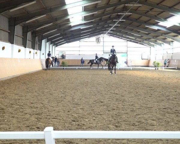 Reitturnier Datteln 2020