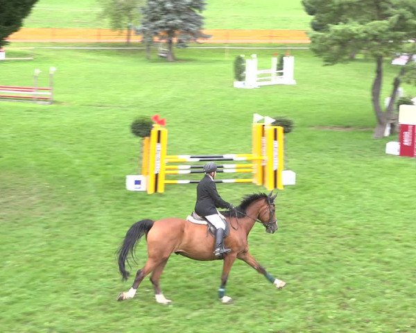 Reitturnier Aadorf 2020