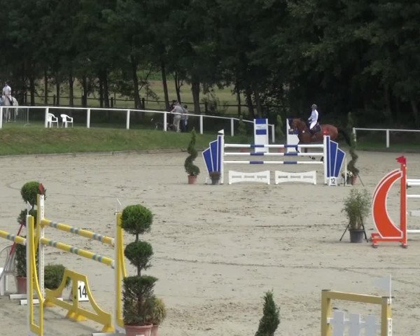 Reitturnier Bergisch Gladbach - Hebborner Hof 2020