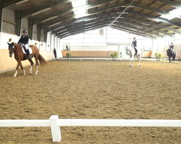 Reitturnier Datteln 2020