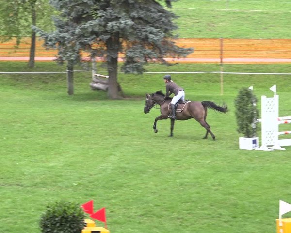 Reitturnier Aadorf 2020