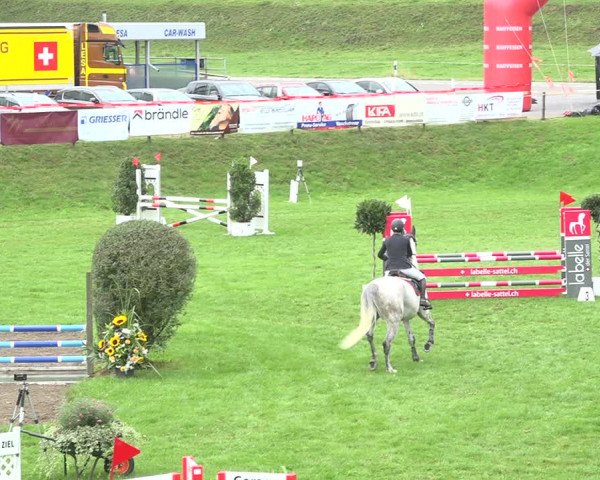 Reitturnier Aadorf 2020