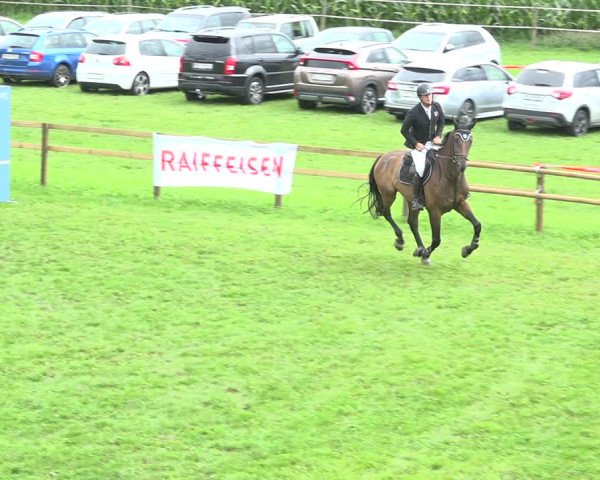 Reitturnier Aadorf 2020