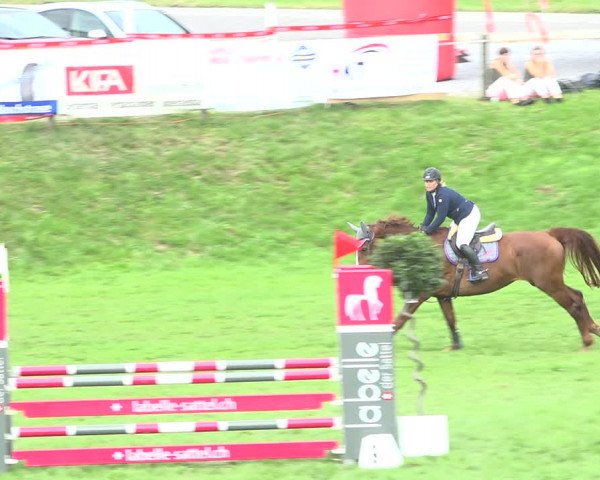 Reitturnier Aadorf 2020