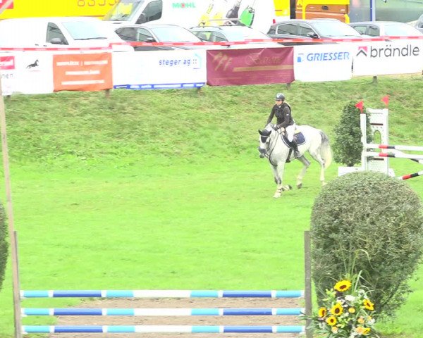 Reitturnier Aadorf 2020