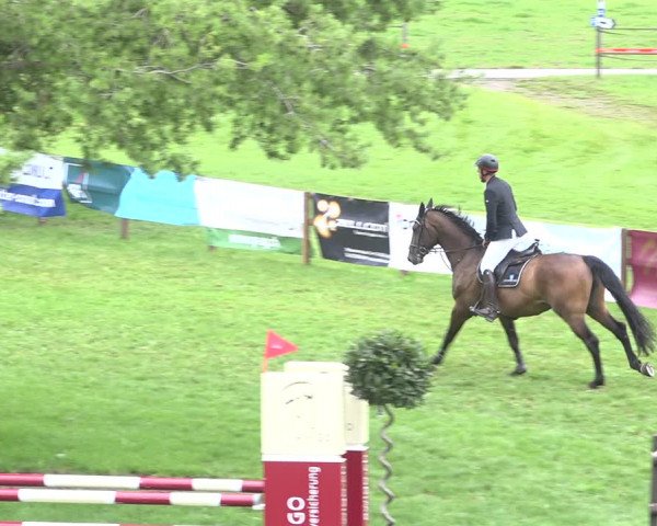 Reitturnier Aadorf 2020