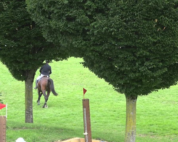 Reitturnier Aadorf 2020