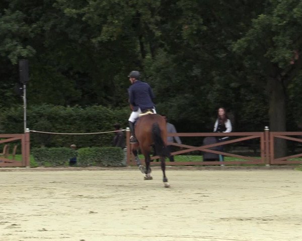 Equus Colonius - Reitanlage Brüse Köln 2021