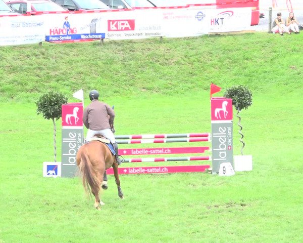 Reitturnier Aadorf 2020