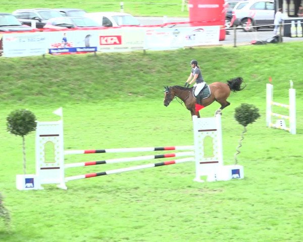 Reitturnier Aadorf 2020
