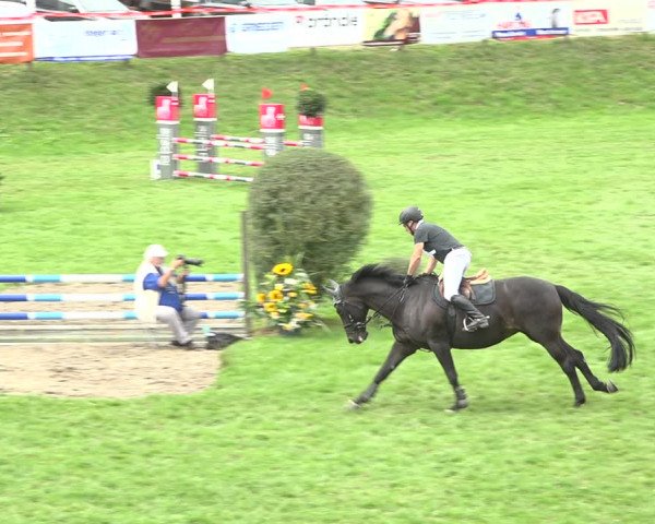 Reitturnier Aadorf 2020