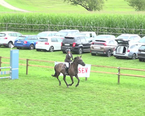 Reitturnier Aadorf 2020