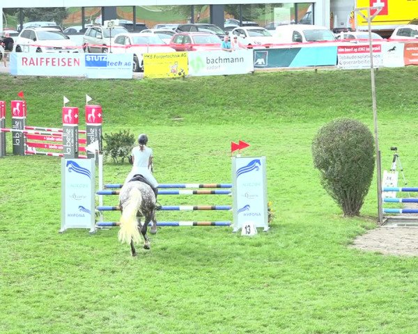 Reitturnier Aadorf 2020