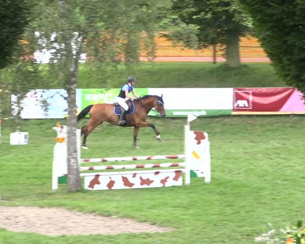 Reitturnier Aadorf 2020
