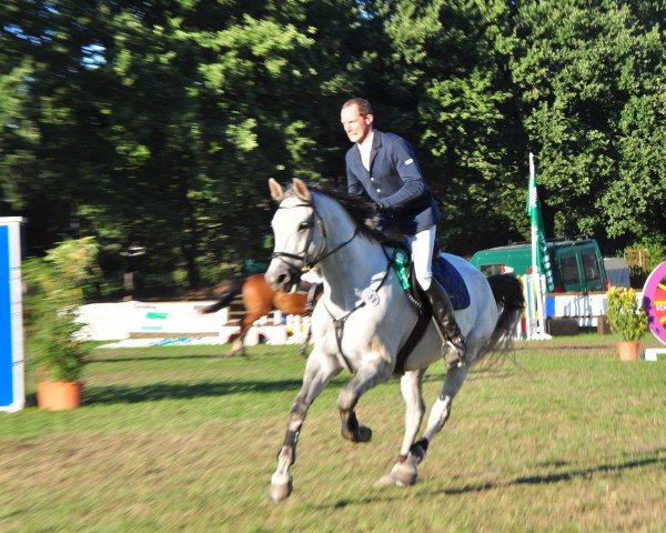 jumper Caladon B (Holsteiner, 2002, from Cardino)