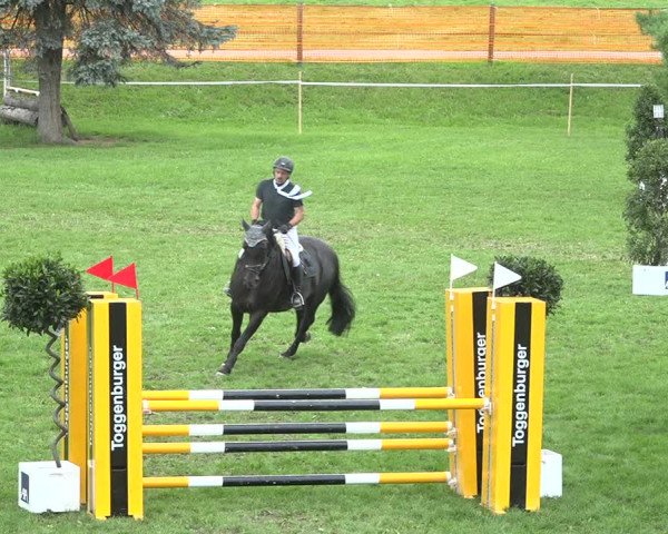 Reitturnier Aadorf 2020