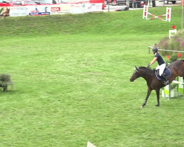 Reitturnier Aadorf 2020
