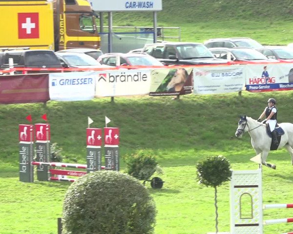 Reitturnier Aadorf 2020
