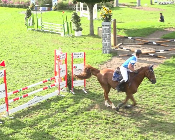 Reitturnier Aadorf 2020
