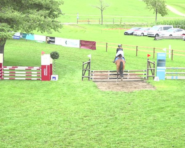 Reitturnier Aadorf 2020