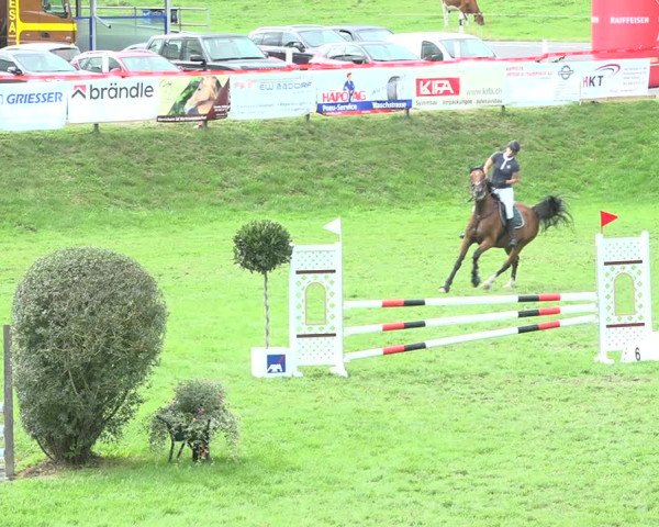 Reitturnier Aadorf 2020