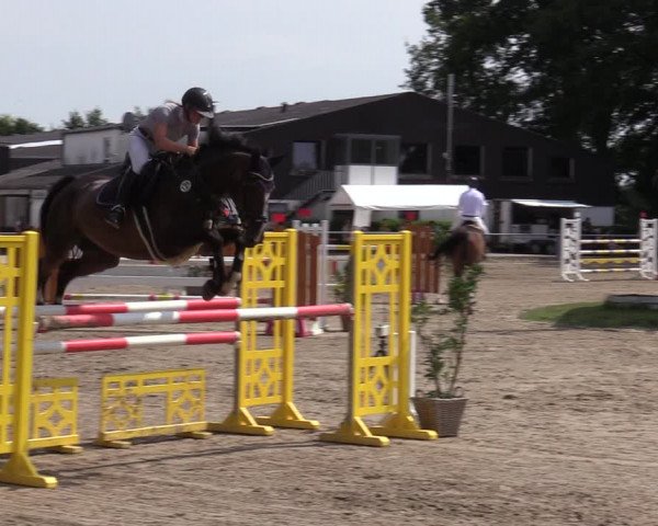 Reitturnier Datteln 2020