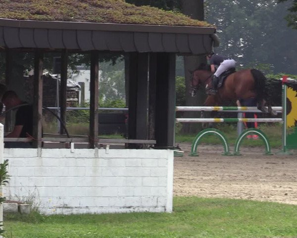 Reitturnier Datteln 2020
