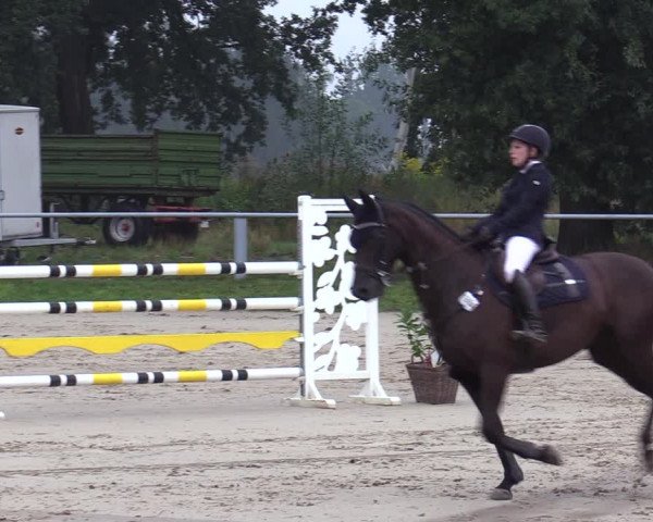 Reitturnier Datteln 2020