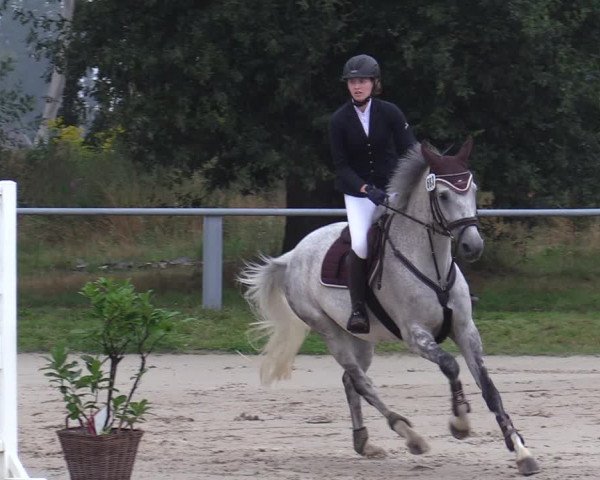 Reitturnier Datteln 2020