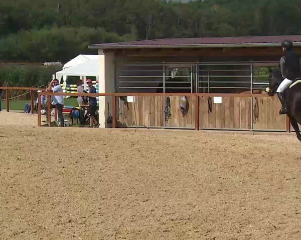 Reitturnier Boxbrunn/Mrf. 2020