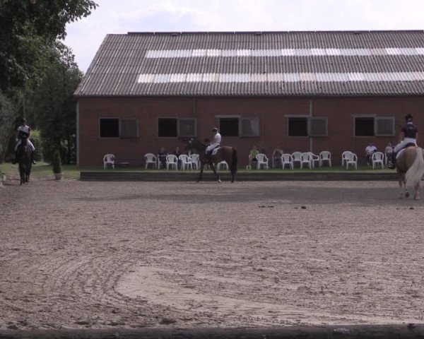 Reitturnier Datteln 2020