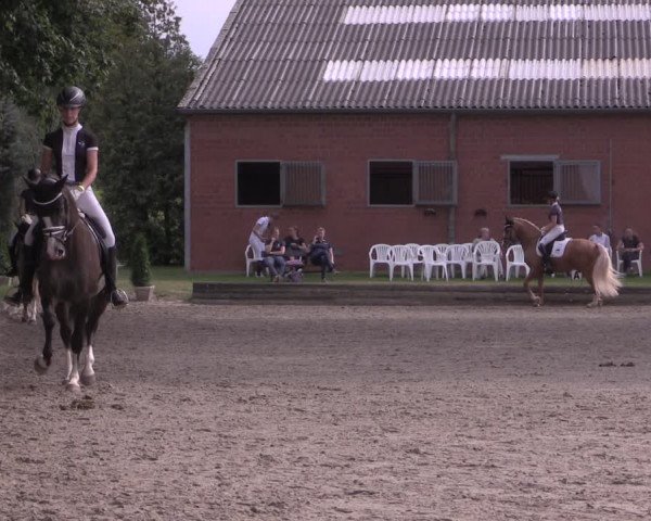 Reitturnier Datteln 2020