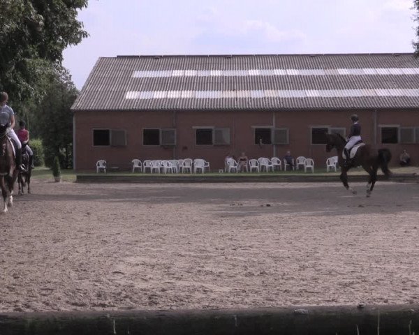 Reitturnier Datteln 2020
