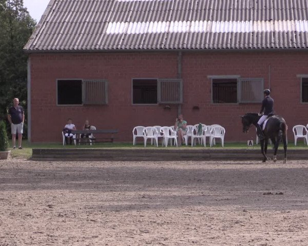 Reitturnier Datteln 2020