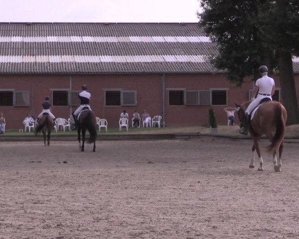 Reitturnier Datteln 2020