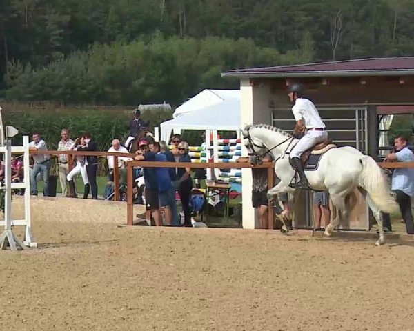 Reitturnier Boxbrunn/Mrf. 2020