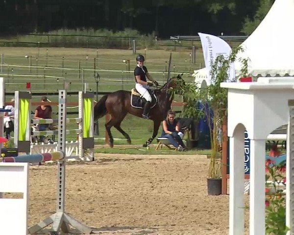 Reitturnier Boxbrunn/Mrf. 2020